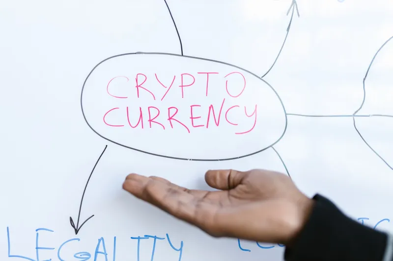 More Platforms, Fewer Readers: Understanding the Hidden Cost of Unrestricted Content Syndication